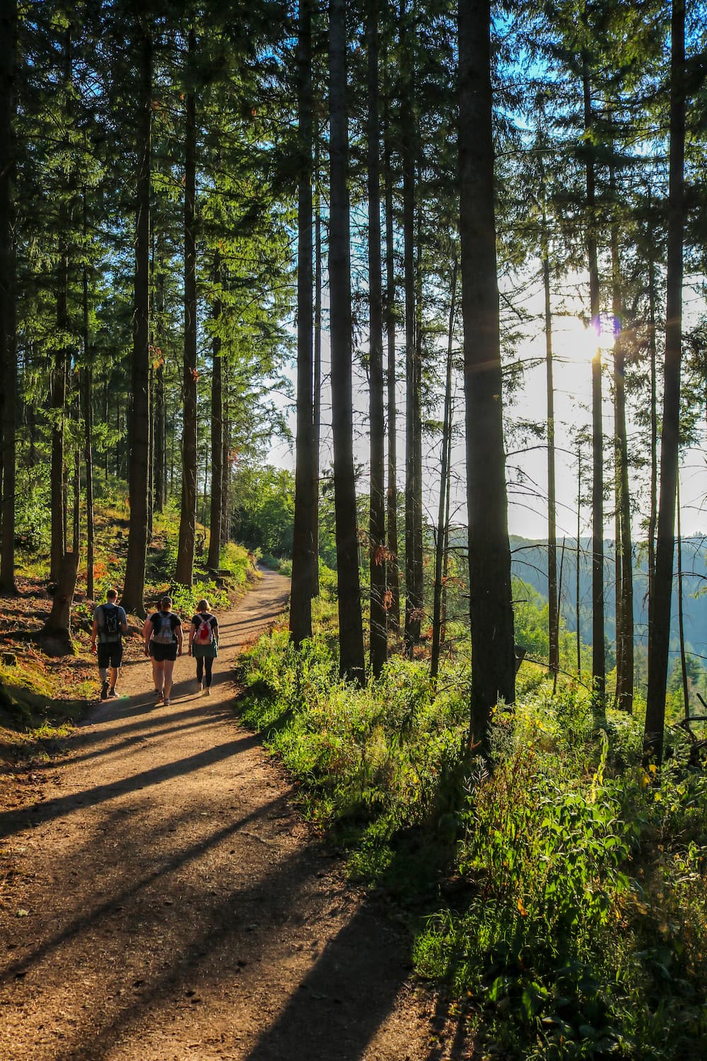 Presentación de Enrev